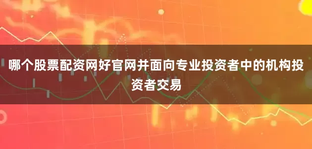 哪个股票配资网好官网并面向专业投资者中的机构投资者交易