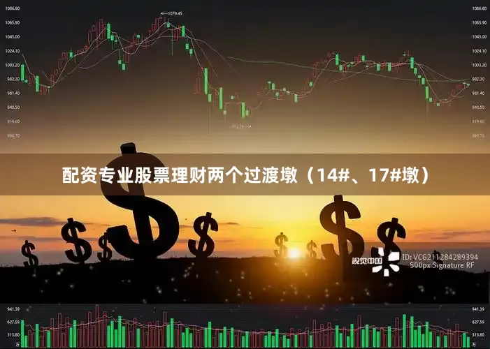 配资专业股票理财两个过渡墩（14#、17#墩）
