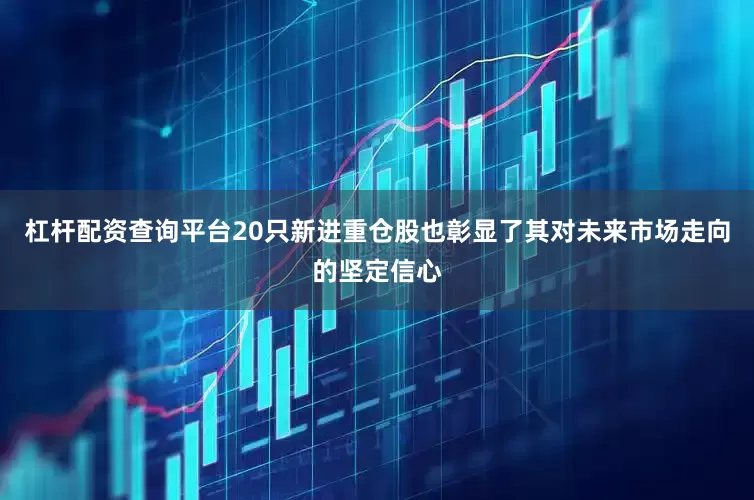 杠杆配资查询平台20只新进重仓股也彰显了其对未来市场走向的坚定信心