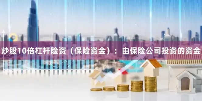 炒股10倍杠杆险资（保险资金）：由保险公司投资的资金